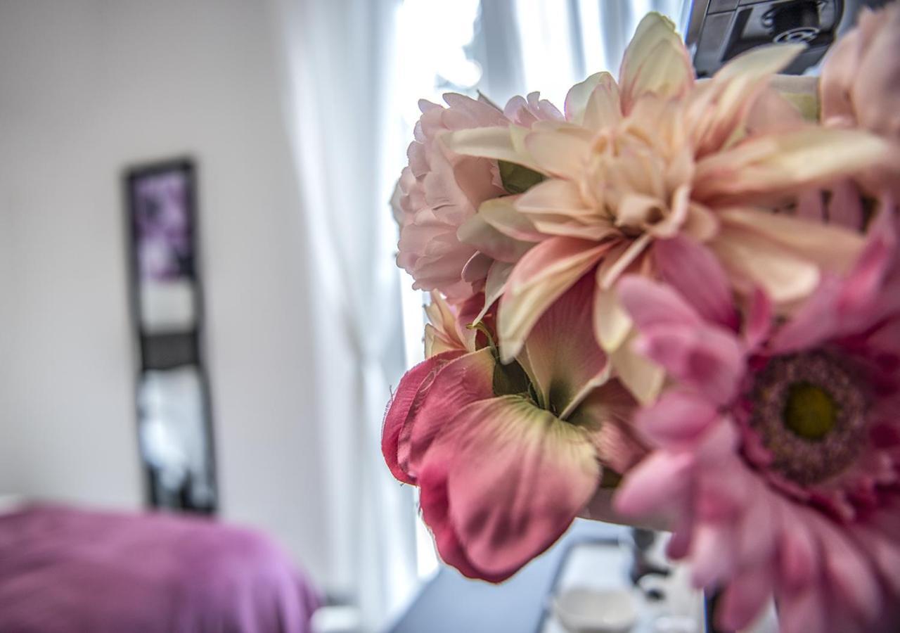 Le Stanze Dei Fiori Ξενοδοχείο Μπολόνια Εξωτερικό φωτογραφία