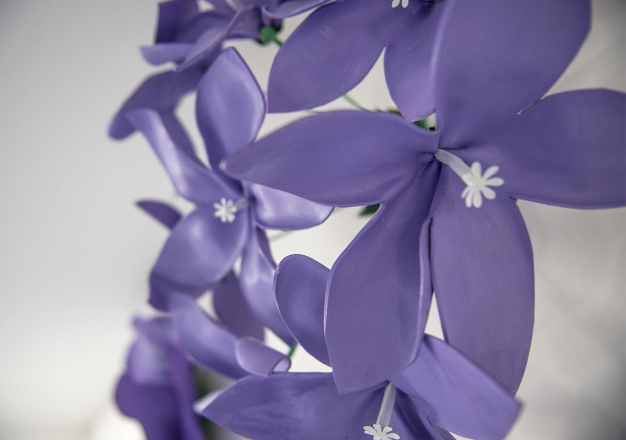 Le Stanze Dei Fiori Ξενοδοχείο Μπολόνια Εξωτερικό φωτογραφία