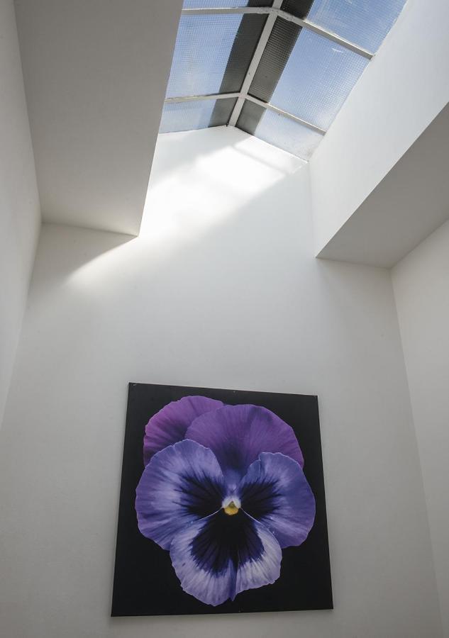 Le Stanze Dei Fiori Ξενοδοχείο Μπολόνια Εξωτερικό φωτογραφία
